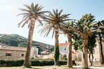 İzmir Çıkışlı Budva Rüyası Turu Pegasus Havayoları İle 3 Gece 4 Gün