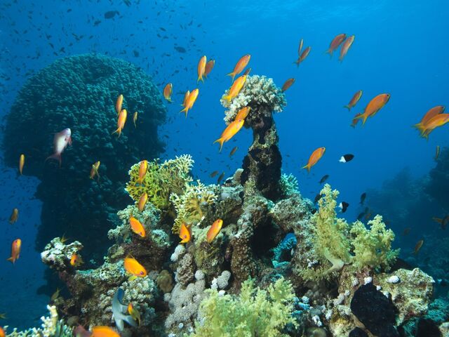 Promosyon Sharm El Sheikh Turu Ajet Havayolları ile 3 Gece Otelden Geç Çıkışlı