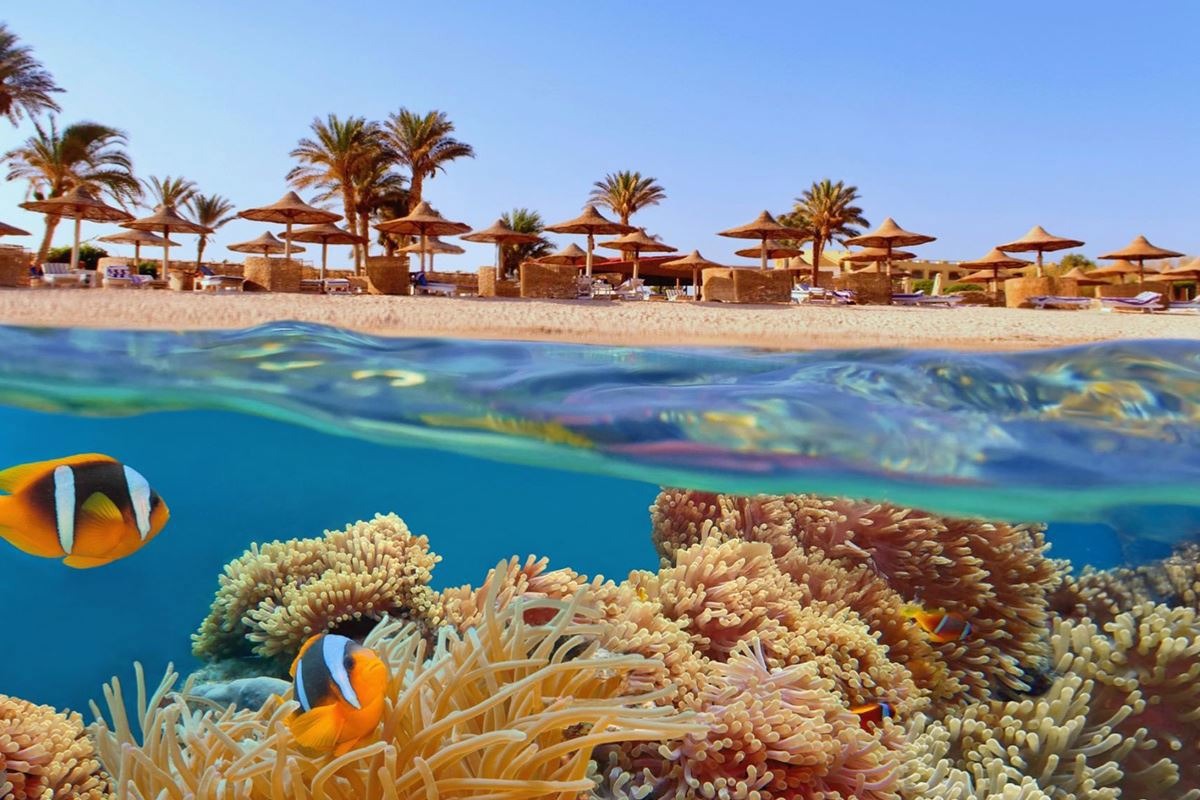 Çukurova Çıkışlı Mısır Kahire Sharm El Sheikh Turu Kurban Bayramı Özel 6 Gece 7 Gün 24-30Mayıs