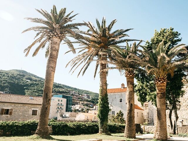 Budva Turu 2 Gece 3 Gün Air Montenegro ile TIV-TGD PC001